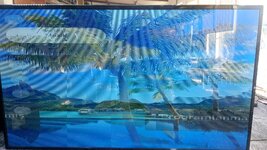 WhatsApp Image 2026-01-09 at 16.03.44.jpeg